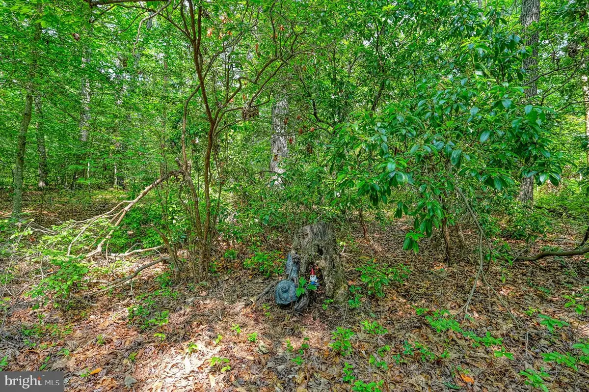 0 Alsop Way, Spotsylvania, VA 22551 - Image #1