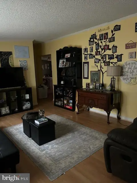 3300 Danbury Cir, Spotsylvania, VA 22551 - Image #3