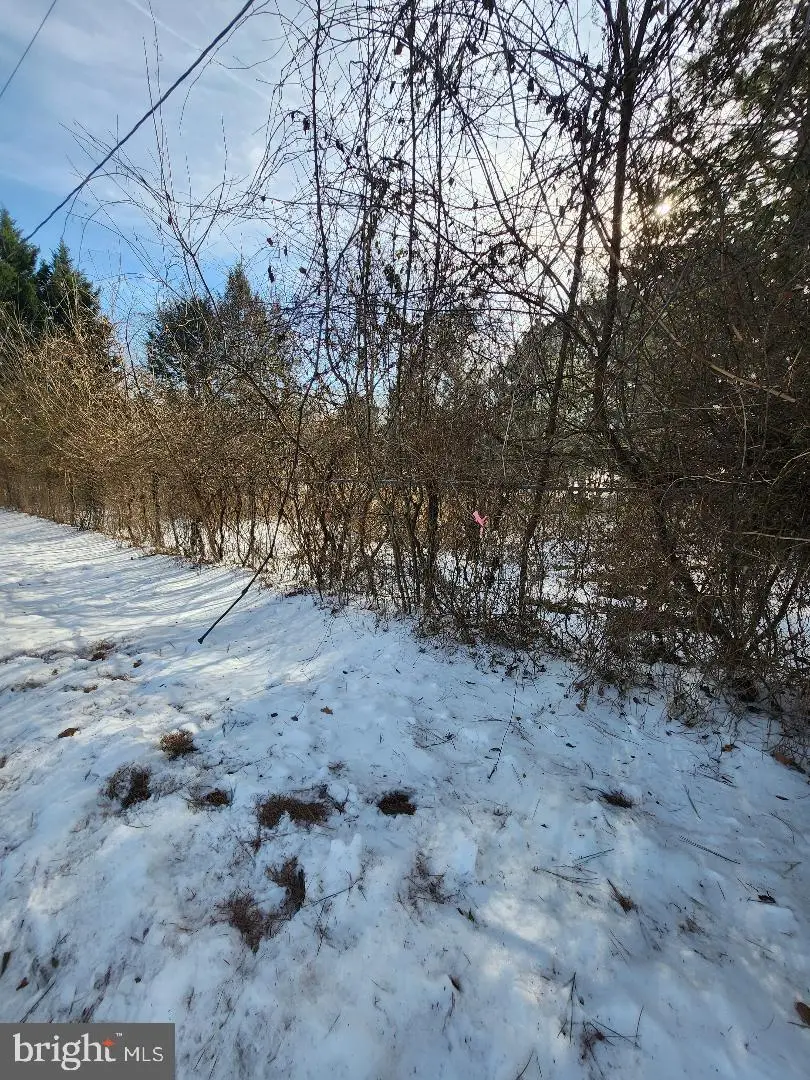 9546 Rapidan Dr, Fredericksburg, VA 22407 - #2