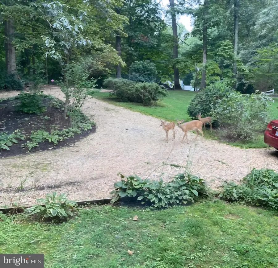 10221 Helena Ter, Spotsylvania, VA 22553 - #3