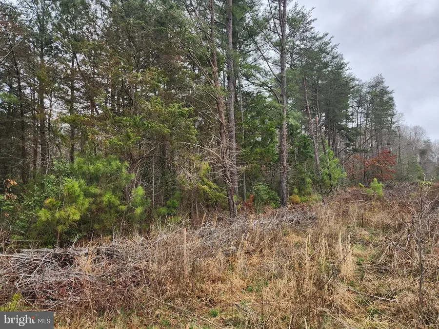 8228 Flippo Dr, Fredericksburg, VA 22408 - #2