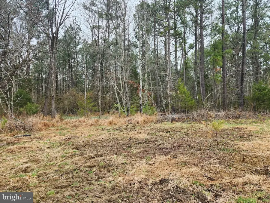 8228 Flippo Dr, Fredericksburg, VA 22408 - #3