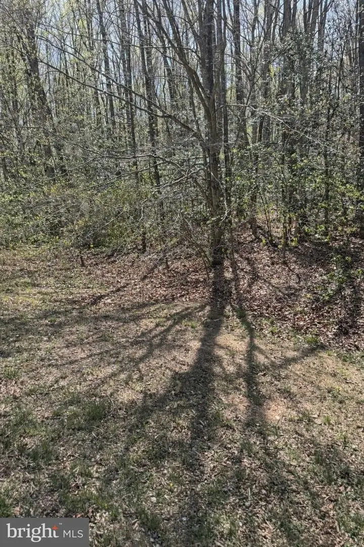 8839 Old Block House Ln, Spotsylvania, VA 22551 - #1