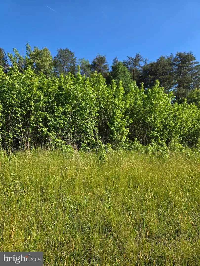 4336 Massaponax Church Rd, Fredericksburg, VA 22408 - #1