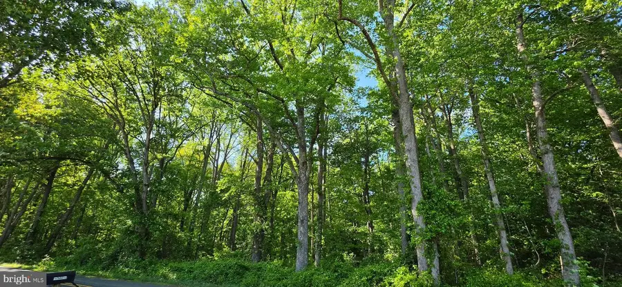 9701 Duerson Ln, Partlow, VA 22534 - #3
