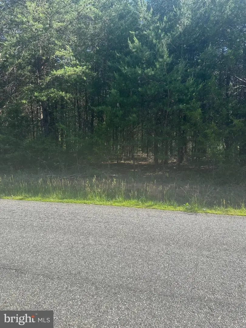 13615 Black Meadow Rd, Spotsylvania, VA 22553 - #3