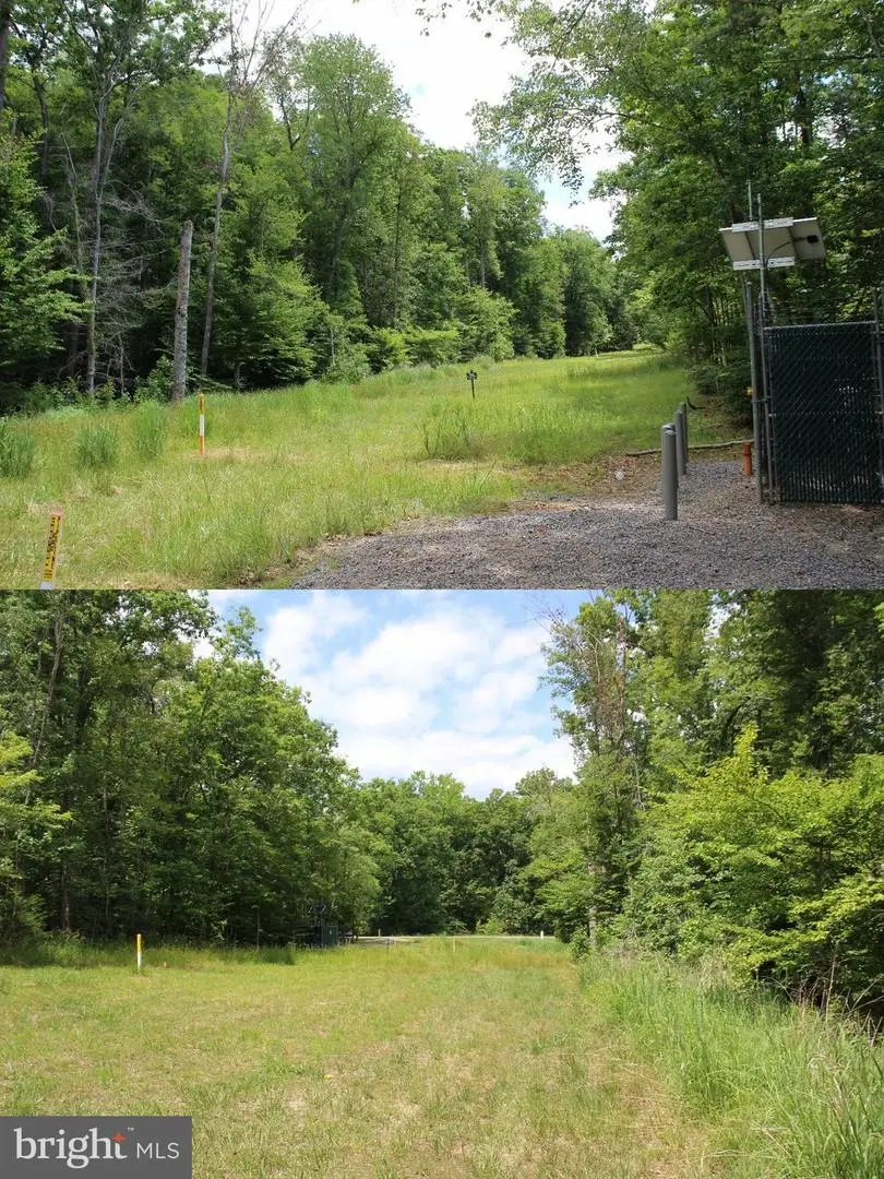 13919 Hunting Run Dr, Fredericksburg, VA 22407 - #3