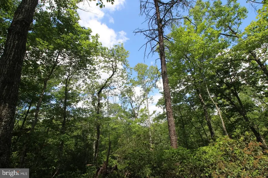 8103 Old Mineral Springs Rd, Fredericksburg, VA 22407 - #3