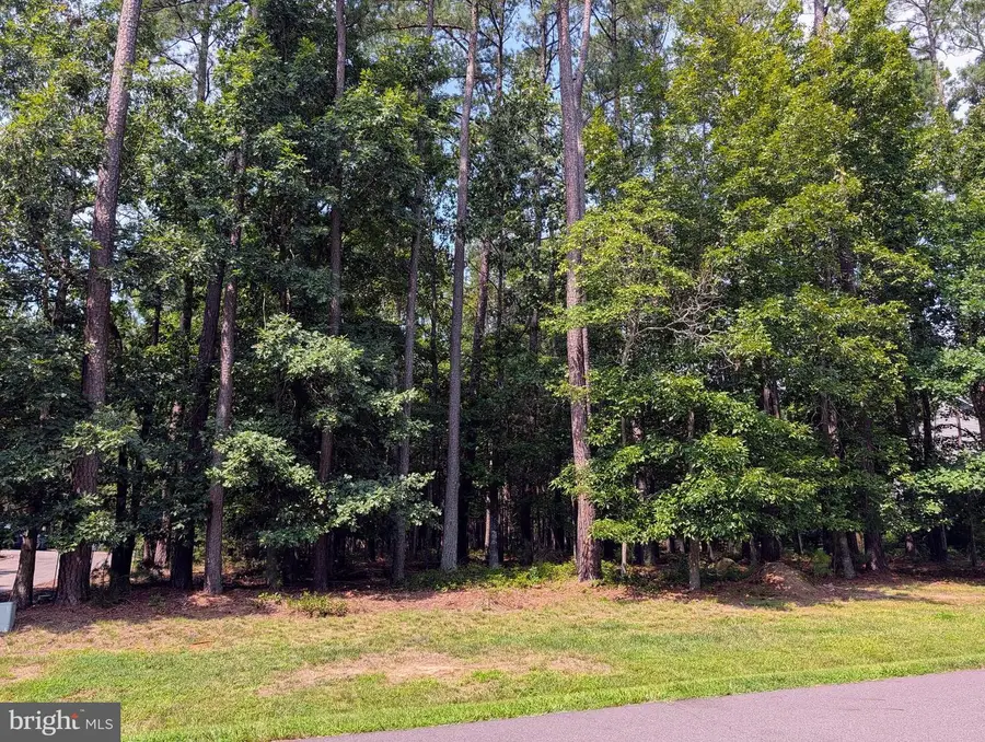 10516 Wildbrooke Ct, Spotsylvania, VA 22551 - #3