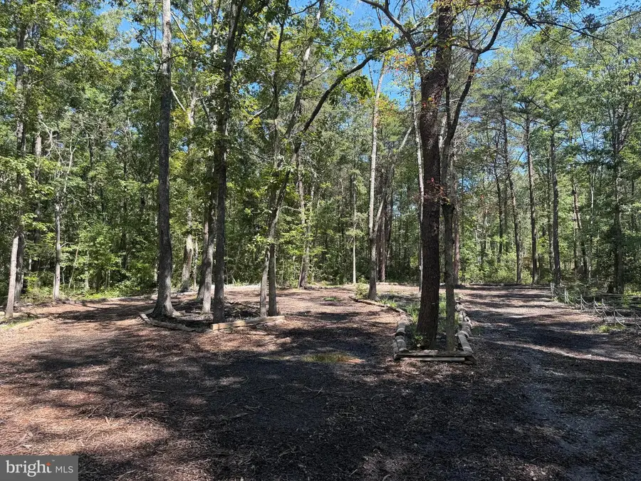 13017 Orange Plank Rd, Locust Grove, VA 22508 - #3
