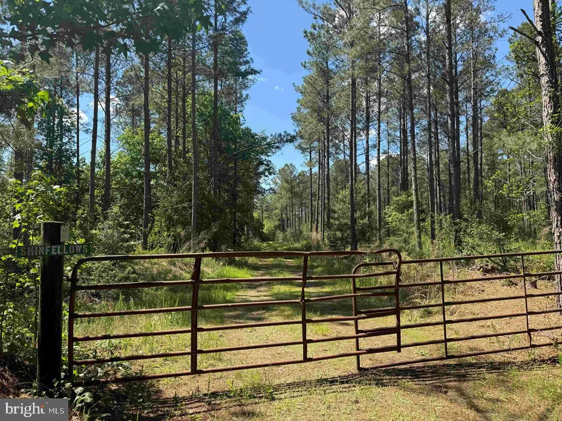 Huntington Road (tract: Surry William-sharp-1), Surry, VA 23883 - #1