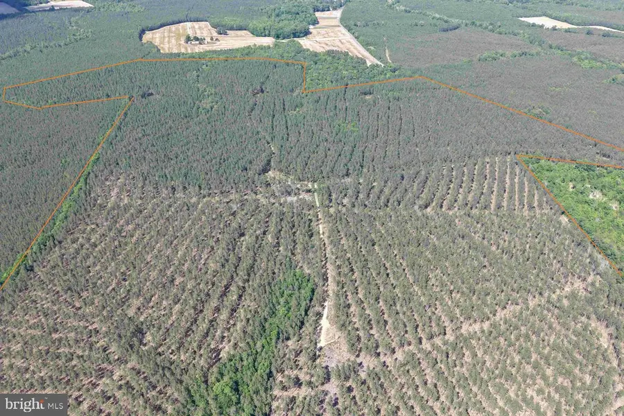Huntington Road (tract: Surry William-sharp-1), Surry, VA 23883 - #3