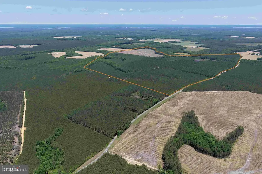 Laurel Springs Road (tract: Surry Dr. Williams-2), Surry, VA 23883 - #3