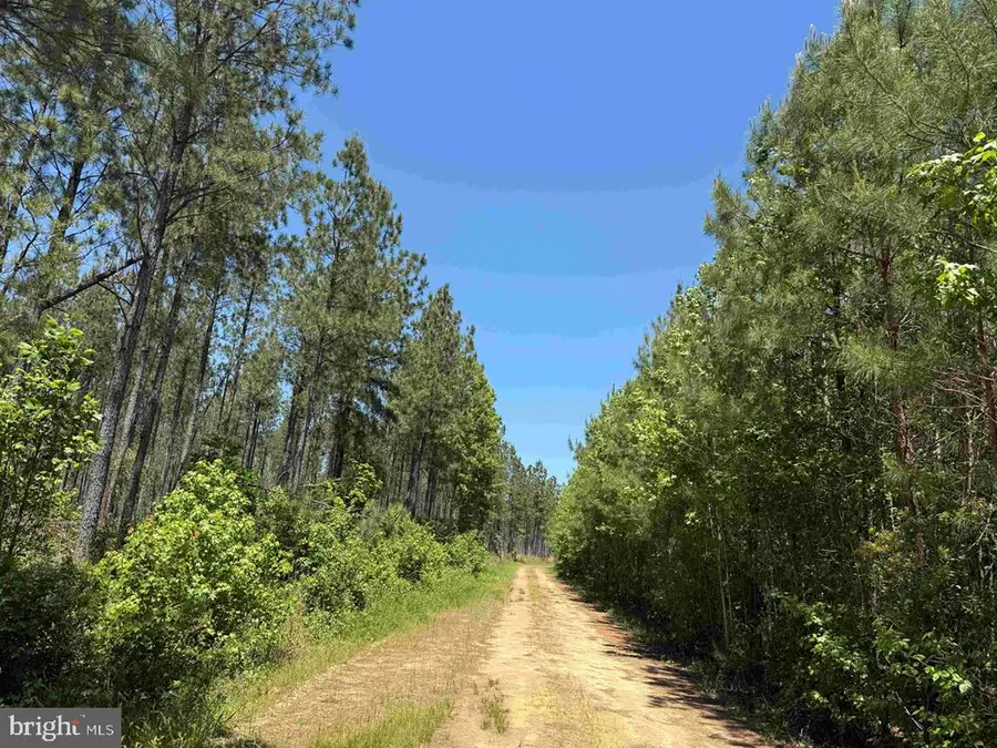 Laurel Springs Road (tract: Dr. Williams-1), Surry, VA 23883 - #2