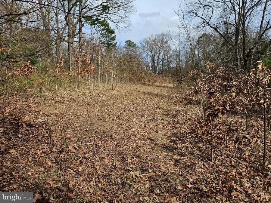 255 Butler Rd, Fredericksburg, VA 22405 - #3