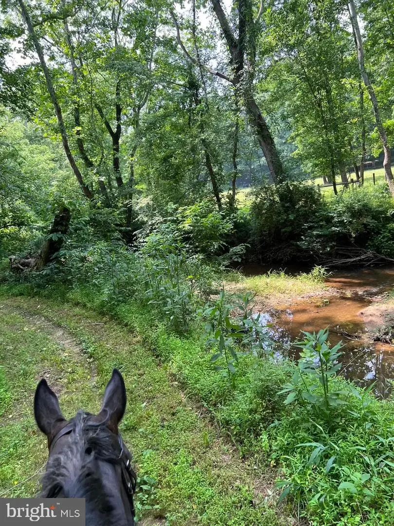 195 King Henry Ct., Fredericksburg, VA 22406 - #3