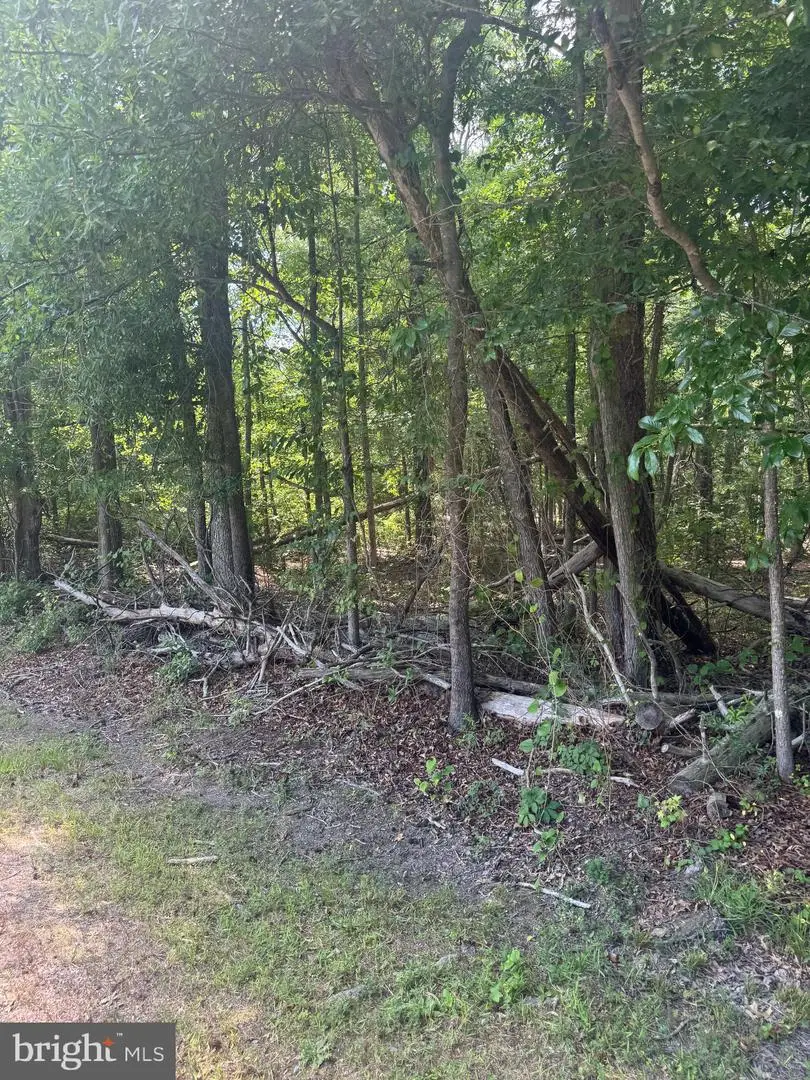 Mallard Rd, Stafford, VA 22556 - #2