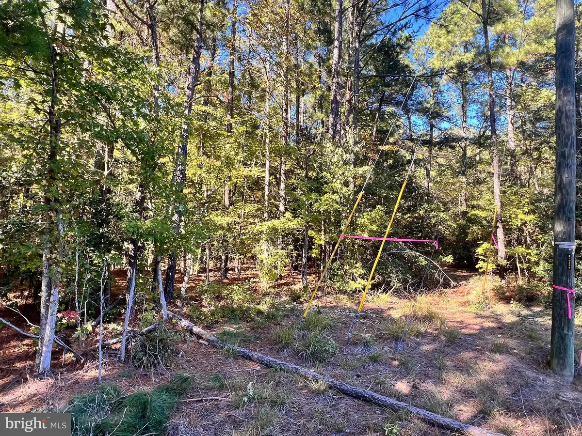 N Glebe, Montross, VA 22520 - Image #1