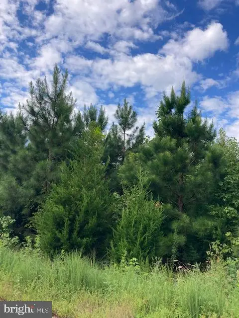 Kelly Rd, KINSALE, VA 22488