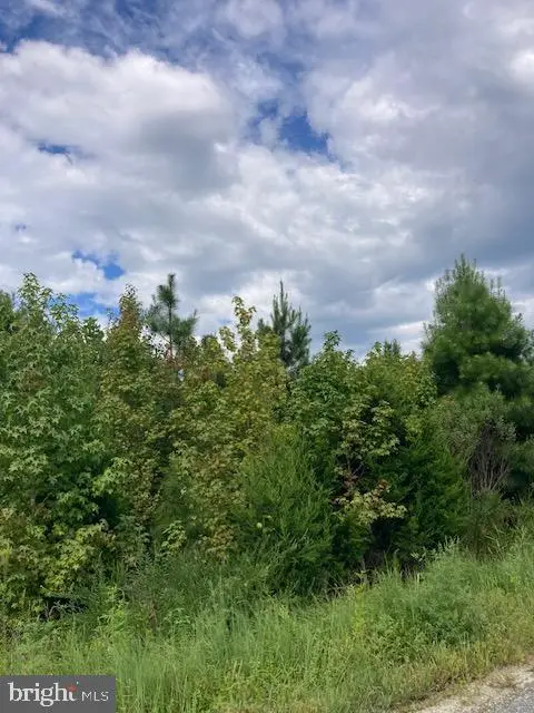 Kelly Rd, Kinsale, VA 22488 - Image #2