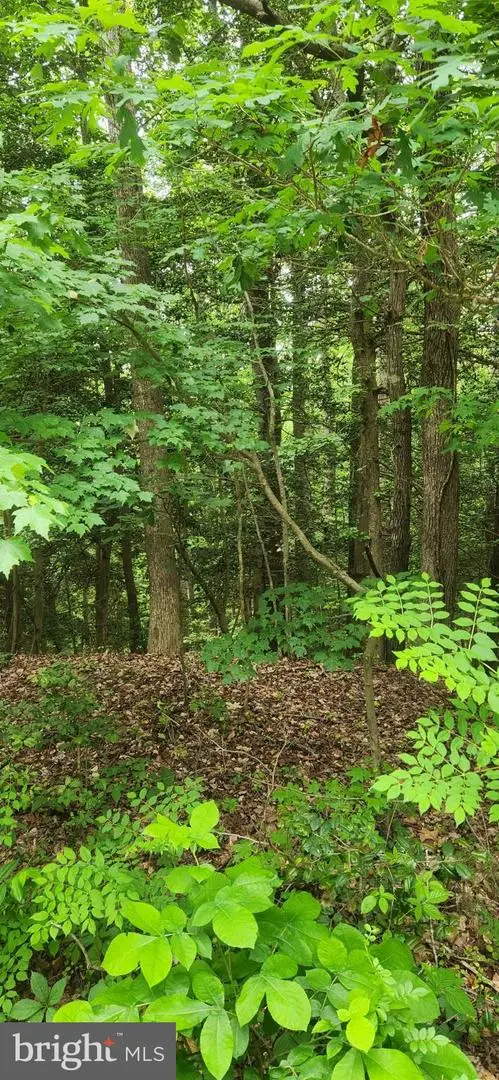 Lot 68 Traveler's Cir, MONTROSS, VA 22520