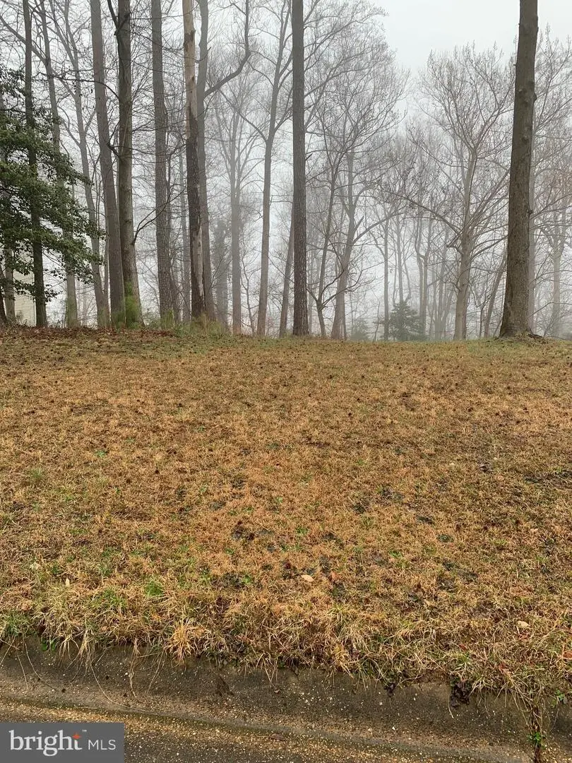 Lot 42 Bay Pointe Dr, Montross, VA 22520 - #1