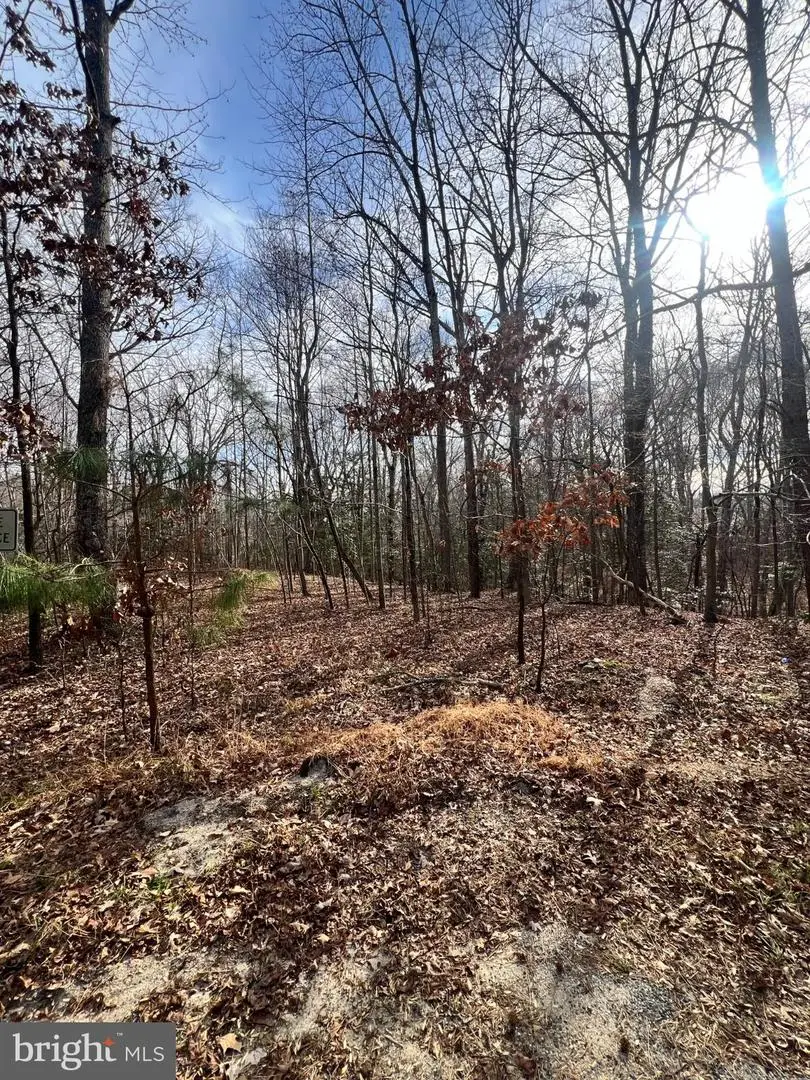 Kings Ct, Montross, VA 22520 - Image #2