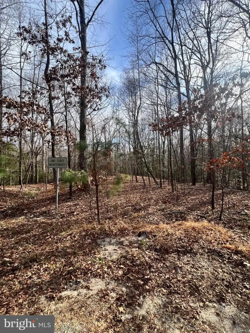 Kings Ct, Montross, VA 22520 - Image #3