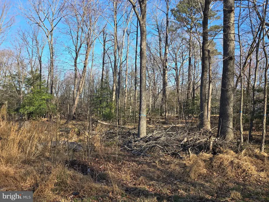 Lot #97 Angler Lane, Montross, VA 22520 - #3