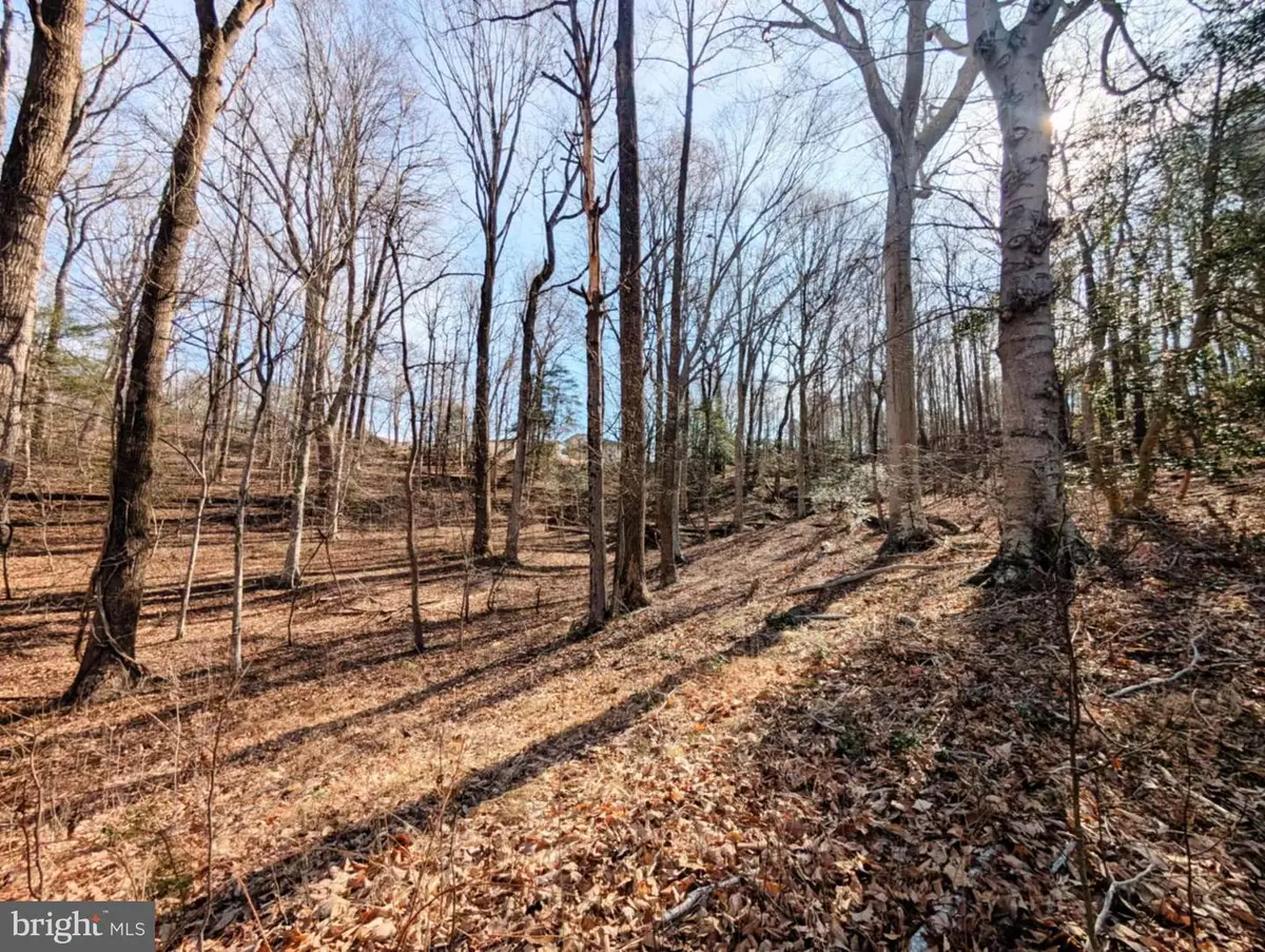 Lot 74 Plantation Dr, Montross, VA 22520 - #1
