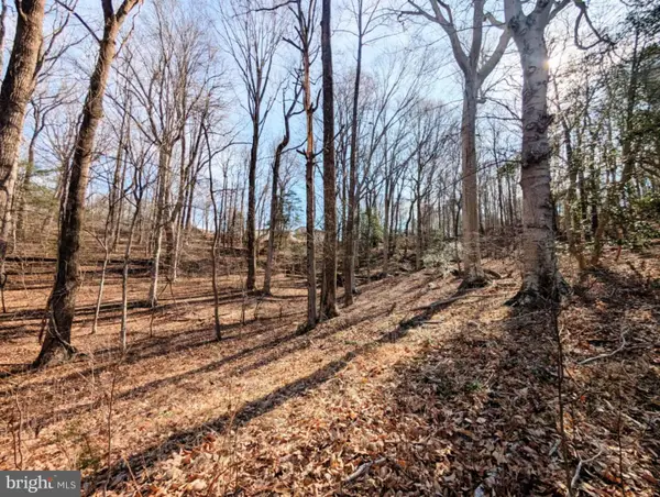 Lot 74 Plantation Dr, MONTROSS, VA 22520