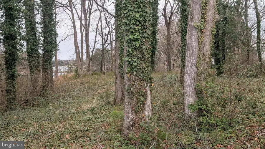 Lot 30z Clubhouse Loop, Montross, VA 22520 - #2