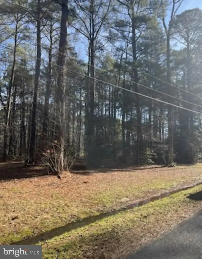 S Glebe Road, Montross, VA 22520 - #2