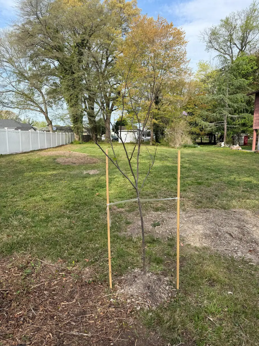 Bk 94 Lot 11 Garfield Ave, Colonial Beach, VA 22443 - #2