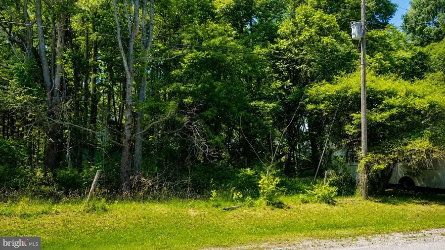 Clover, Colonial Beach, VA 22443 - #2