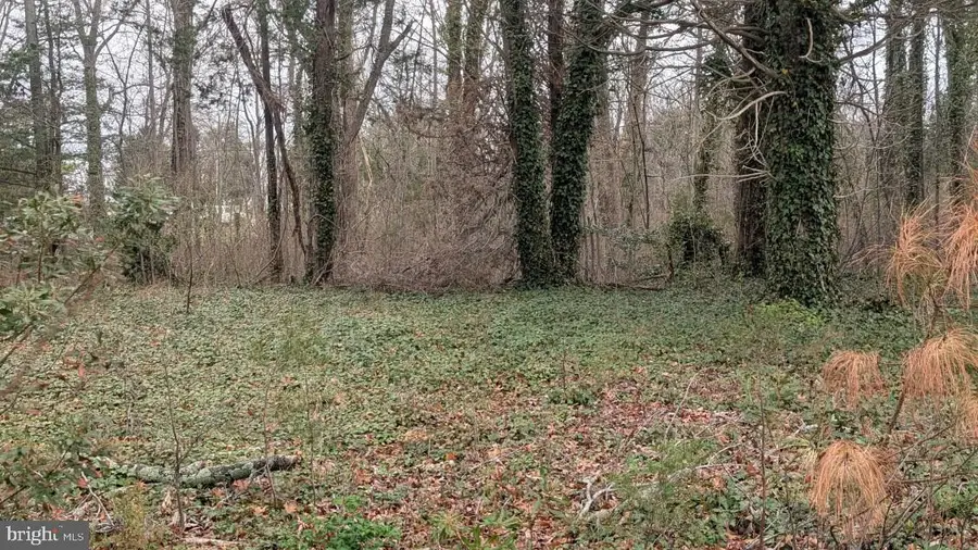 Lot 30y/30z Clubhouse Loop, Montross, VA 22520 - #3