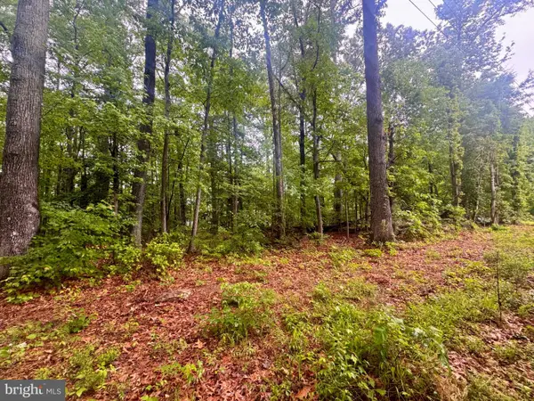 72-75 Henry Dr, HAGUE, VA 22469
