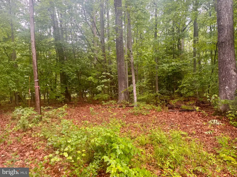 72-75 Henry Dr, Hague, VA 22469 - #2
