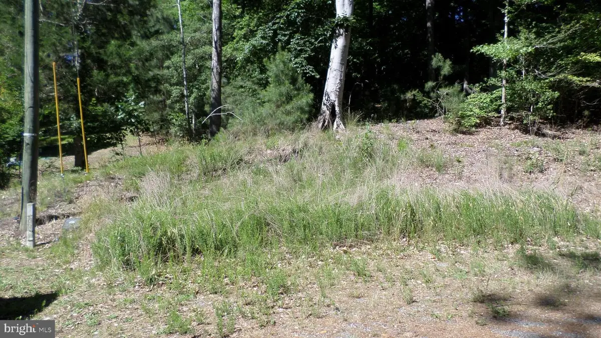 Castle Drive, Montross, VA 22520 - #1
