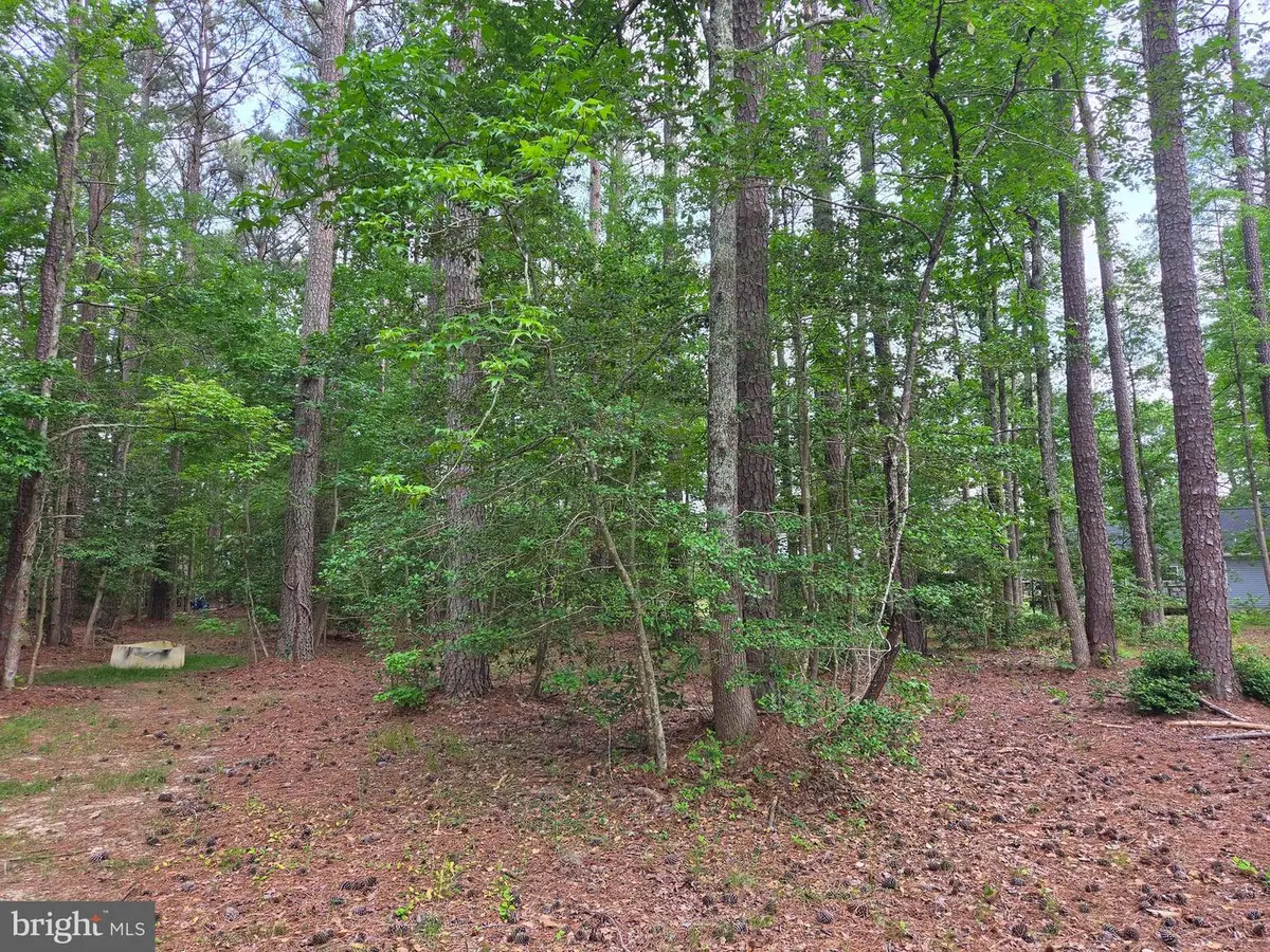 Lot 272 Military Court, Montross, VA 22520 - #1