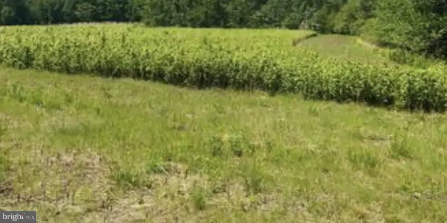 Lot B Kings Highway Kings Highway, Montross, VA 22520 - #2
