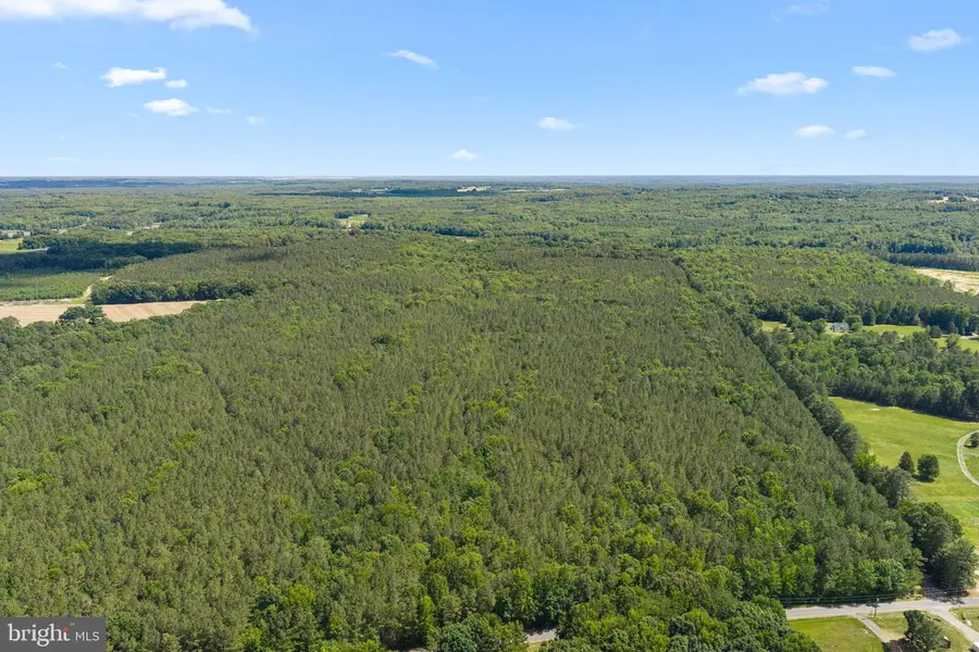 Lot 39 Eagle Vista Ln, Colonial Beach, VA 22443 - #2