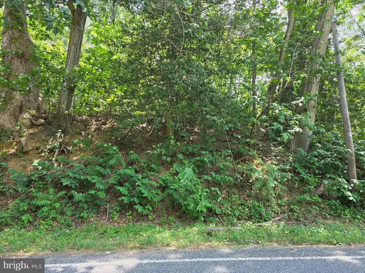 Lot 29 Prospect Hill Road, Montross, VA 22520 - #1