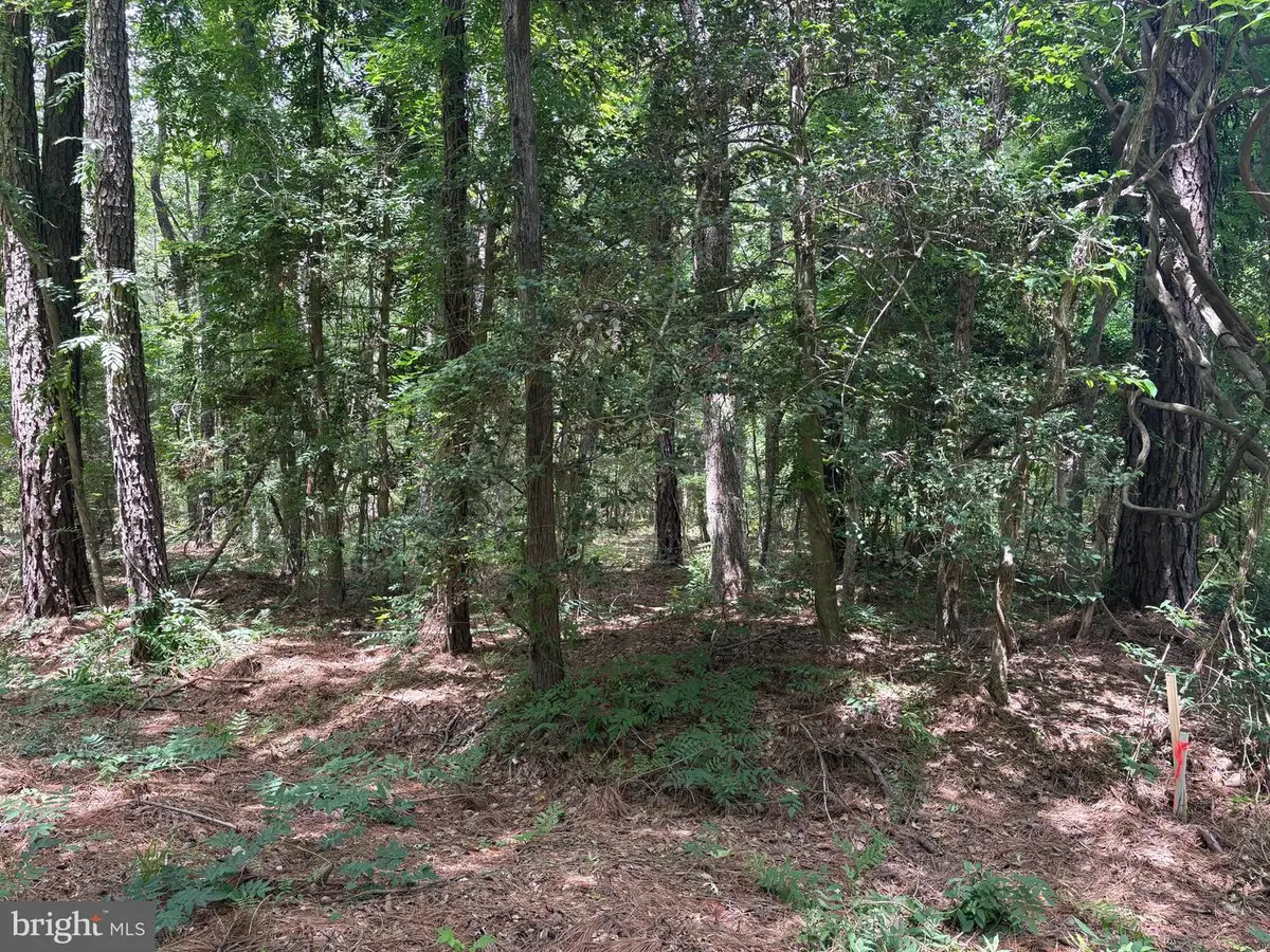 0 Pioneer Trail, Hague, VA 22469 - #1