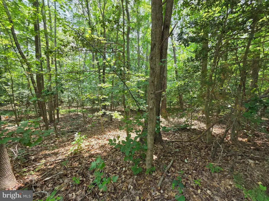 Lot 26 Greenpoint Landing Road, Montross, VA 22520 - #3