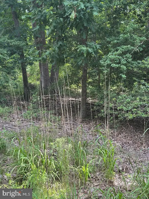 Lands End Dr, MONTROSS, VA 22520