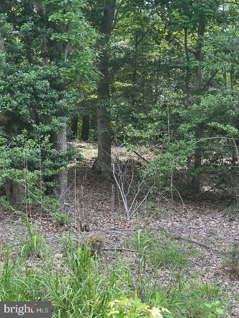 Lands End Dr, Montross, VA 22520 - #2