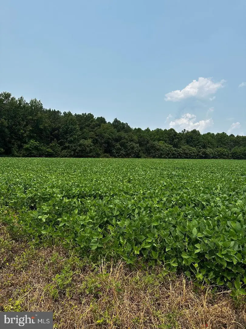 Tax Id 36 19 Zacata Rd, Montross, VA 22520 - #2