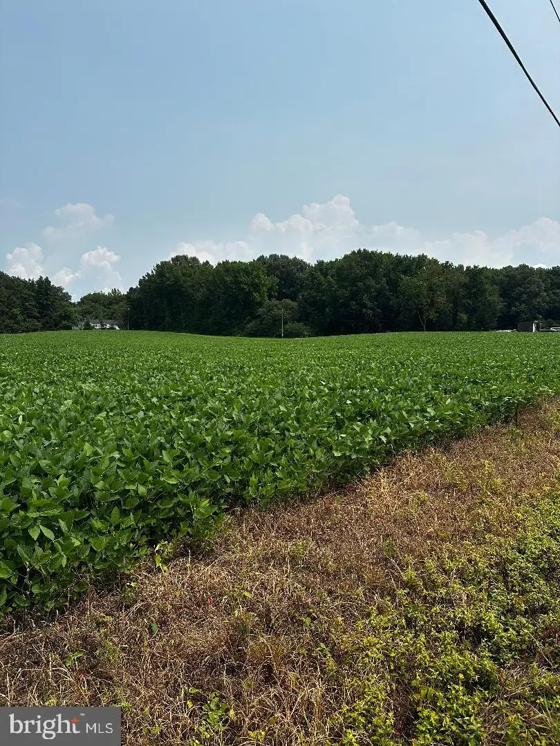 Tax Id 36 19 Zacata Rd, Montross, VA 22520 - #3
