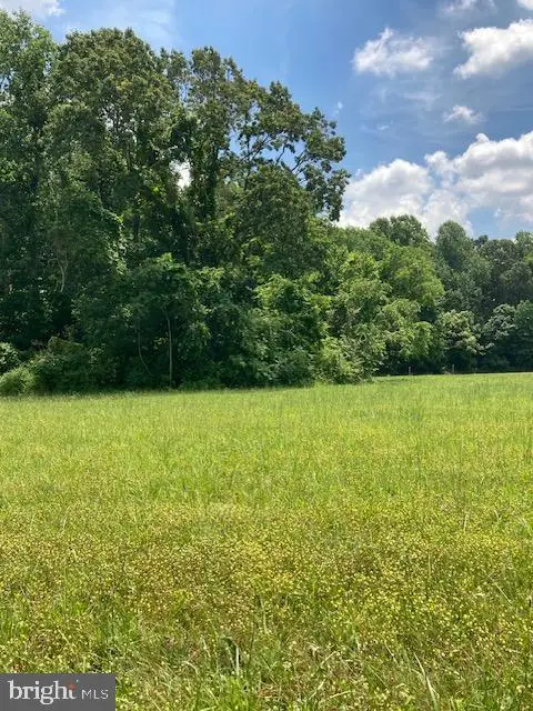 Lot 35 Prospect Hill Rd, Montross, VA 22520 - #2